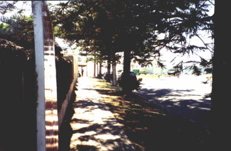 dec1.jpg - 34203 Bytes