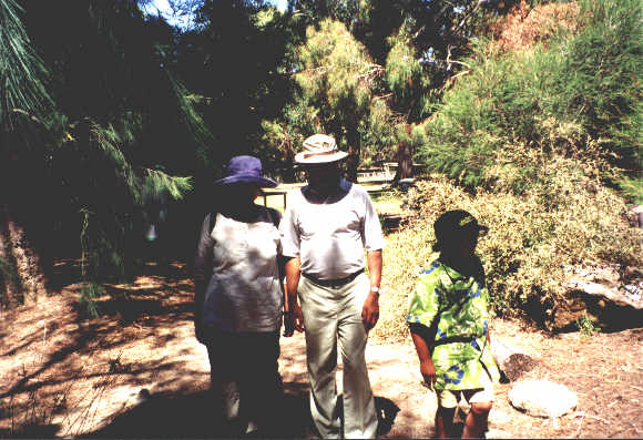 dec1.jpg - 34203 Bytes