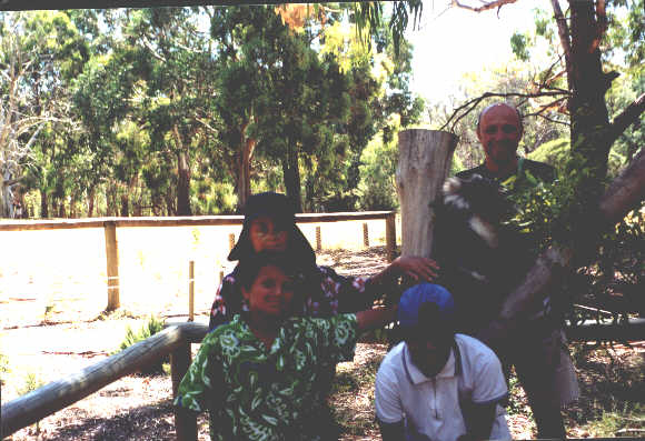 dec1.jpg - 34203 Bytes