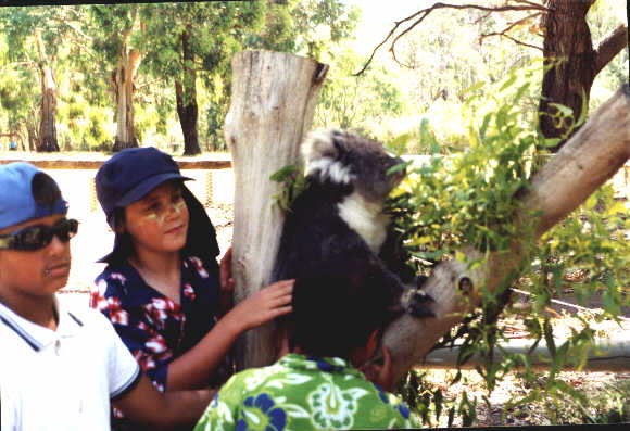 dec1.jpg - 34203 Bytes