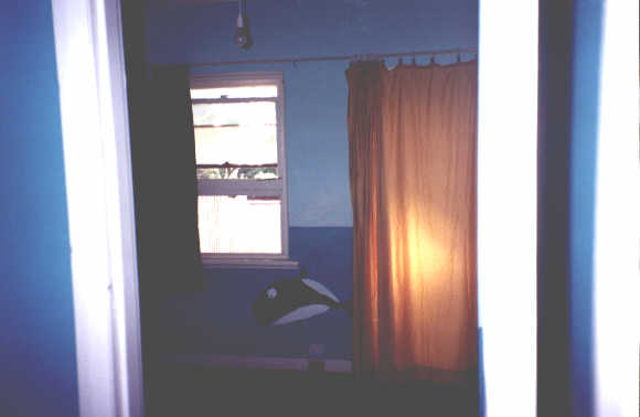 novem26.jpg - 34203 Bytes