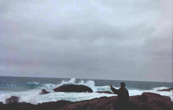 ct1.jpg - 16905 Bytes