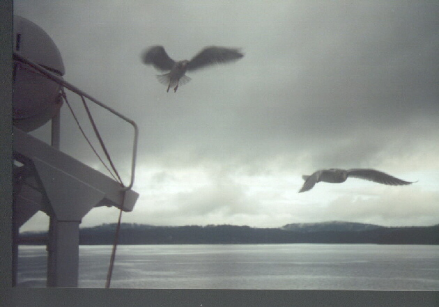 vancvr1.jpg - 85027 Bytes