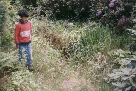 Us3.jpg - 81945 Bytes